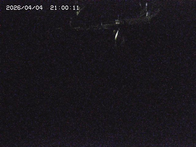 赤波川１2026/04/05 3:30:00