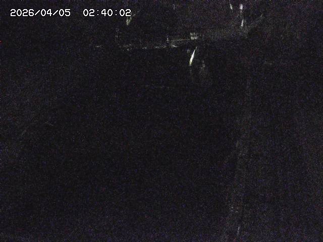 赤波川１2026/04/05 3:30:00