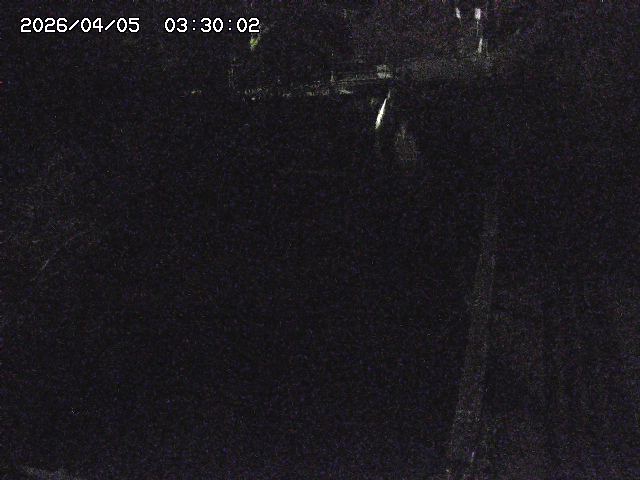 赤波川１2026/04/05 3:30:00