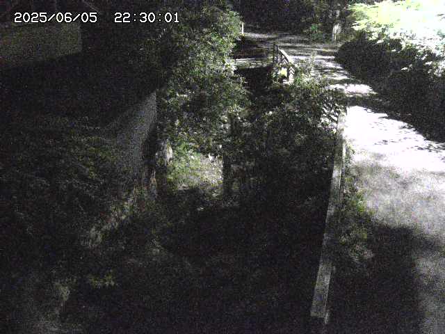 赤波川１2025/06/06 1:00:00