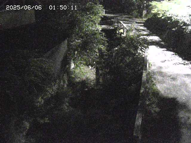 赤波川１2025/06/06 2:00:00