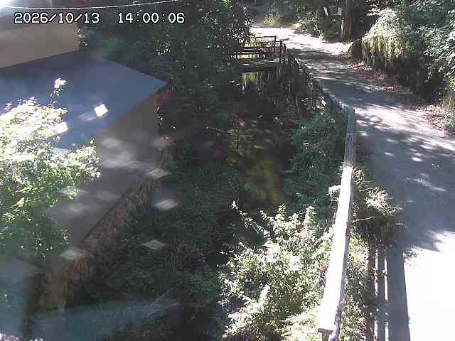 赤波川１2026/10/13 14:30:00