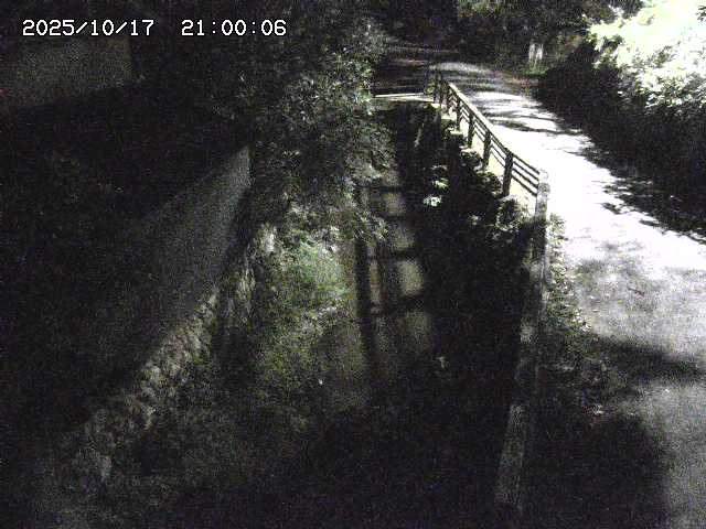 赤波川１2025/10/18 20:30:00