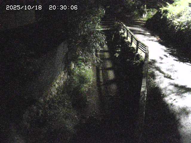 赤波川１2025/10/18 20:30:00