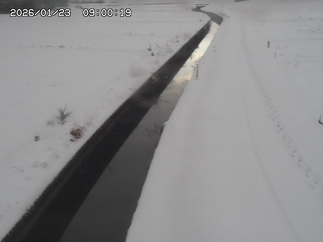 北条川３2026/01/24 1:20:00