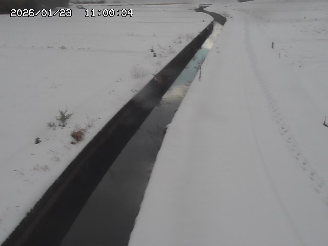 北条川３2026/01/24 1:20:00