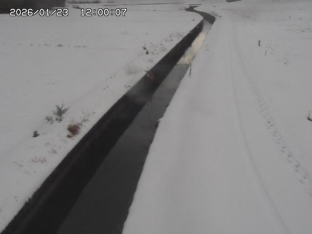 北条川３2026/01/24 1:20:00