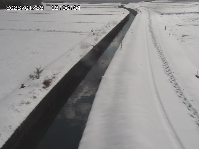 北条川３2026/01/24 1:20:00
