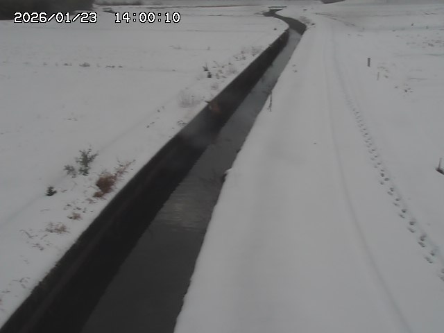 北条川３2026/01/24 1:20:00