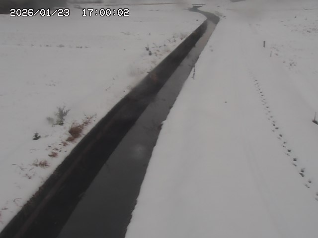 北条川３2026/01/24 1:20:00