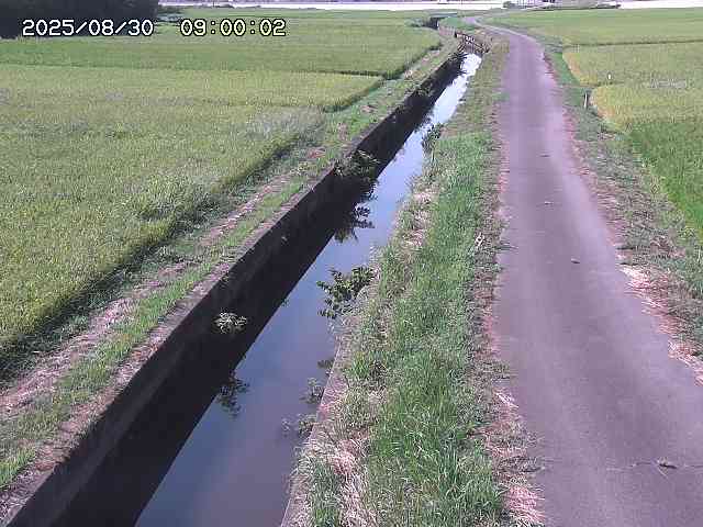 北条川３2025/08/31 9:30:00