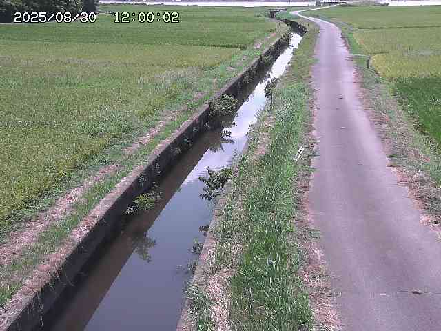 北条川３2025/08/31 9:30:00