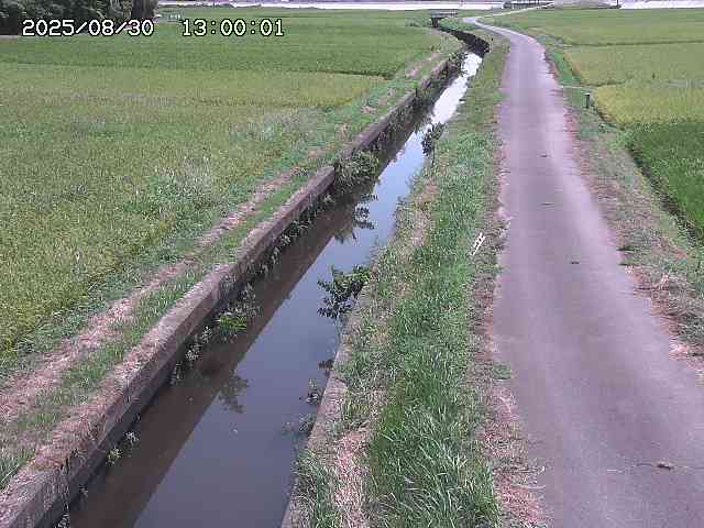 北条川３2025/08/31 9:30:00