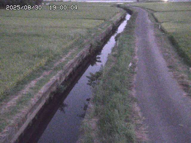 北条川３2025/08/31 9:30:00