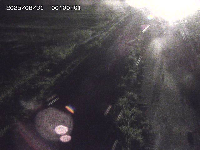 北条川３2025/08/31 9:30:00