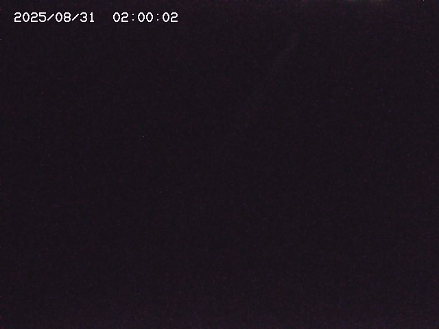 北条川３2025/08/31 9:30:00