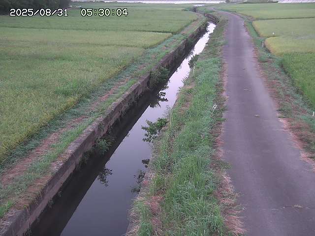 北条川３2025/08/31 9:30:00