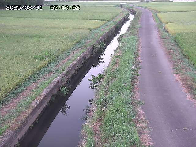 北条川３2025/08/31 9:30:00