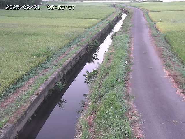 北条川３2025/08/31 9:30:00