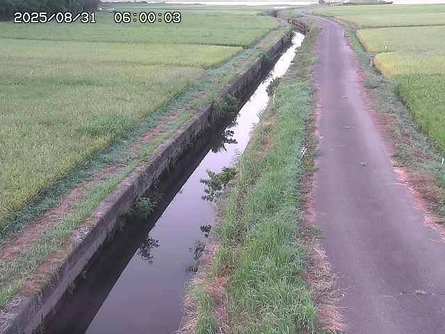 北条川３2025/08/31 9:30:00