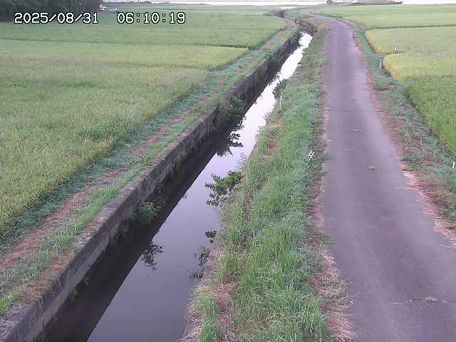 北条川３2025/08/31 9:30:00