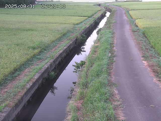 北条川３2025/08/31 9:30:00