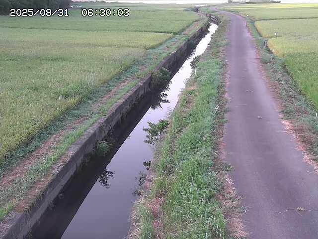 北条川３2025/08/31 9:30:00