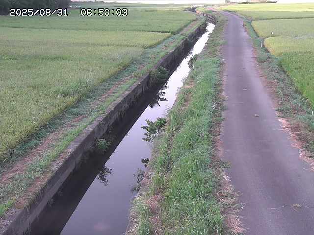 北条川３2025/08/31 9:30:00