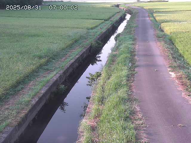 北条川３2025/08/31 9:30:00