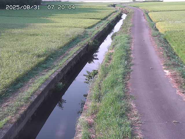 北条川３2025/08/31 9:30:00