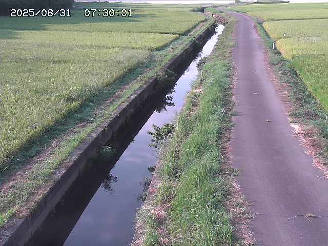 北条川３2025/08/31 9:30:00