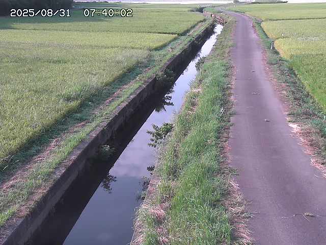 北条川３2025/08/31 9:30:00