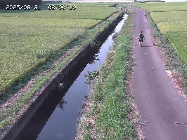 北条川３2025/08/31 9:30:00