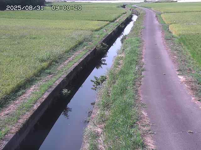 北条川３2025/08/31 9:30:00