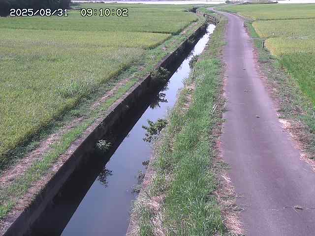 北条川３2025/08/31 9:30:00