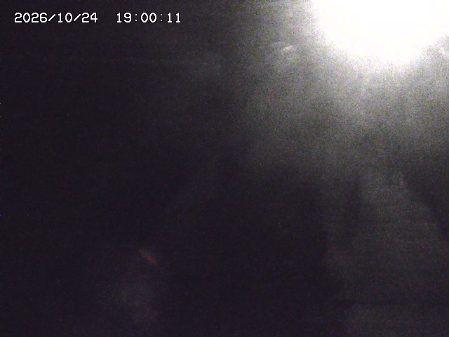 北条川３2026/10/25 12:30:00