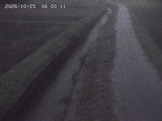 北条川３2026/10/25 12:30:00