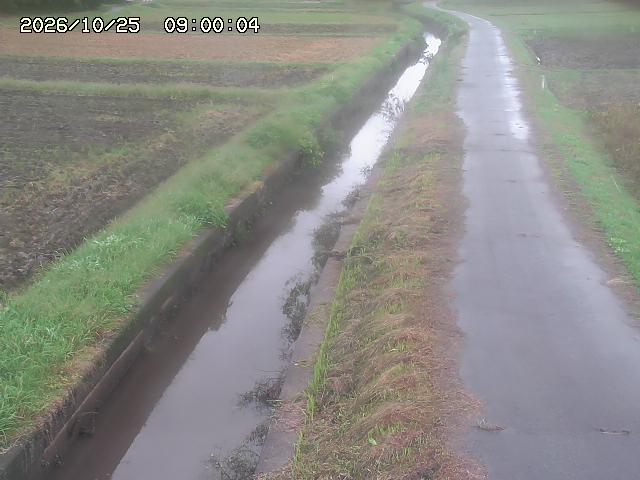 北条川３2026/10/25 12:30:00