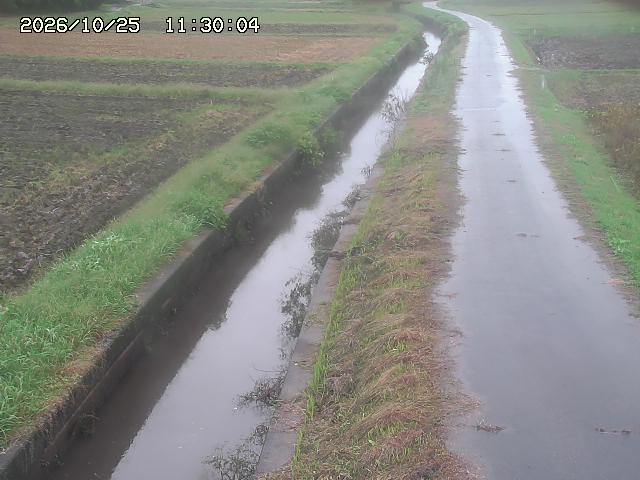 北条川３2026/10/25 12:30:00