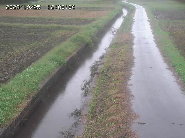 北条川３2026/10/25 12:30:00