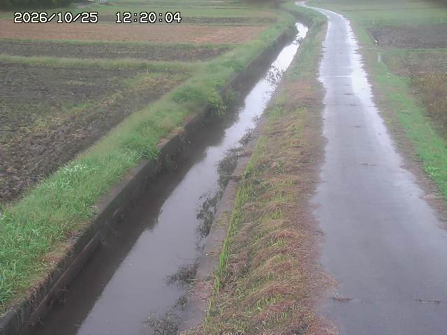 北条川３2026/10/25 12:30:00