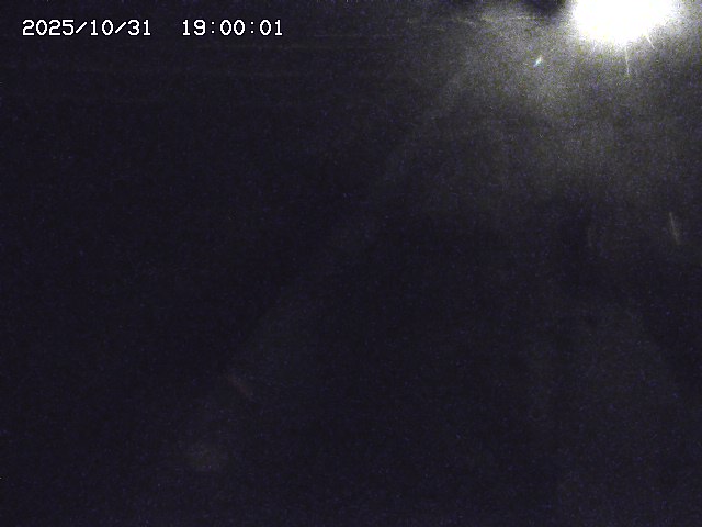 北条川32025/11/01 0:00:00