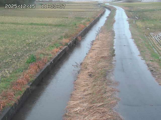 北条川３2025/12/16 8:50:00
