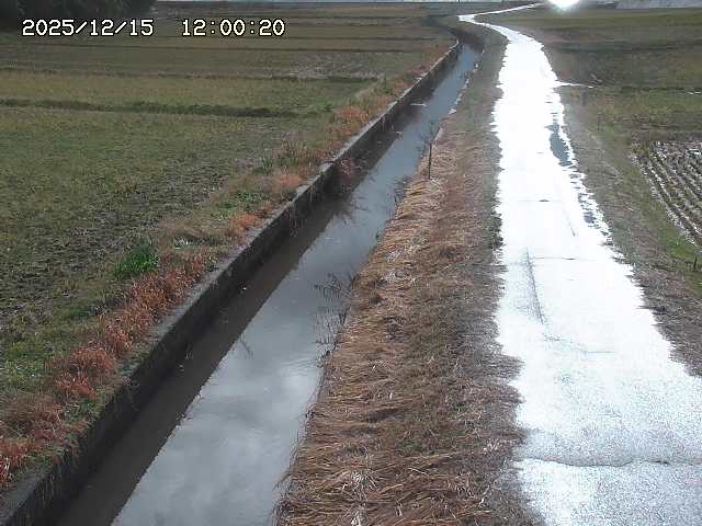 北条川３2025/12/16 8:50:00