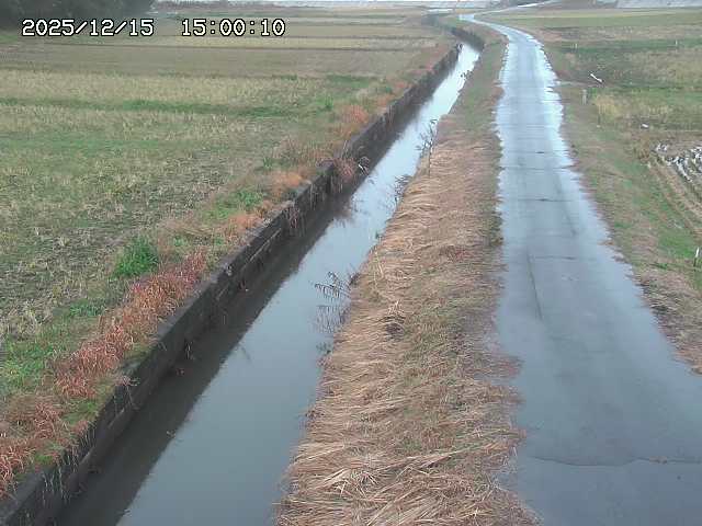 北条川３2025/12/16 8:50:00