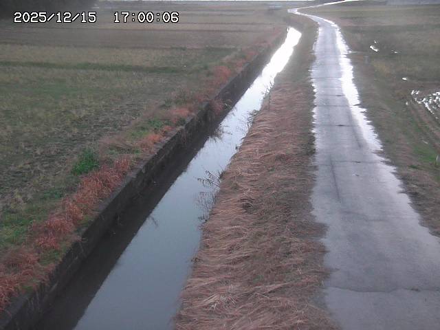 北条川３2025/12/16 8:50:00