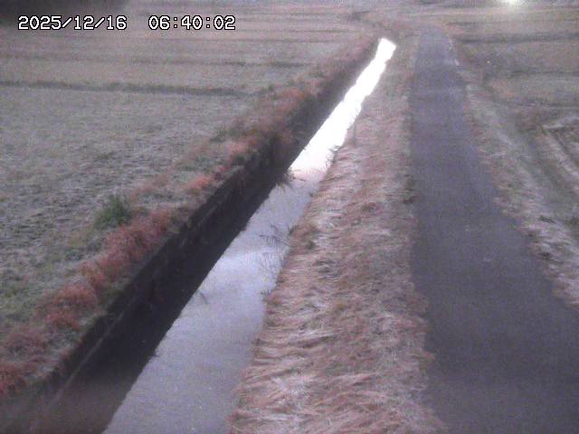 北条川３2025/12/16 8:50:00