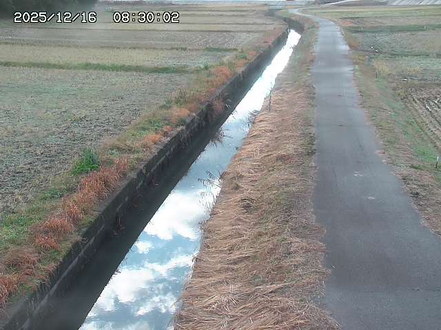 北条川３2025/12/16 8:50:00