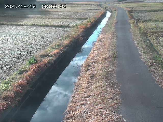 北条川３2025/12/16 8:50:00