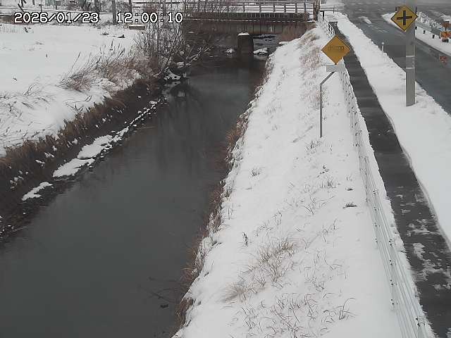 北条川１2026/01/24 1:50:00